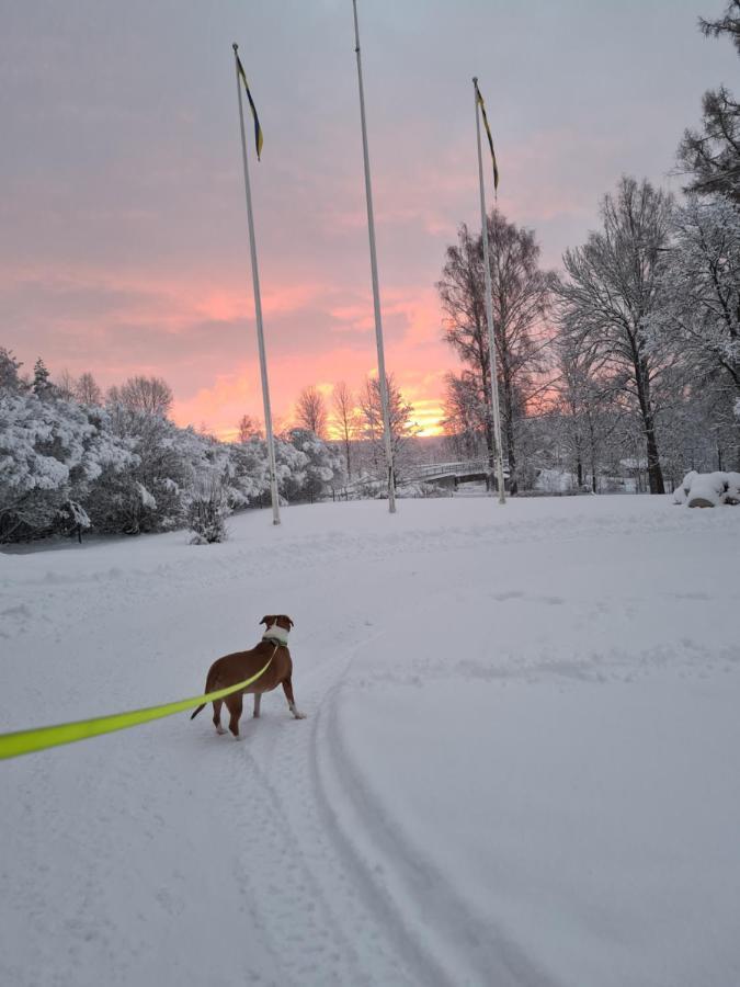 Skogsbrynet B&B, Bredsjoe Nya Herrgard Hällefors Kültér fotó